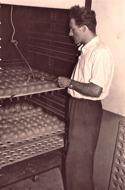 Een deel van de gloeilampen werd in een broedstoof gestopt en na enkele weken kwamen daar schattige fietslampjes uit.